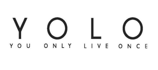 yolo_logo