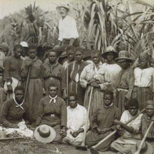 Women from the Pacific Islands working as canecutters on a sugar plantation in Cairns, Queensland. An overseer is in the background, c.1890 Source: Encyclopaedia Britannica